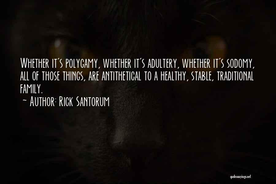 Rick Santorum Quotes: Whether It's Polygamy, Whether It's Adultery, Whether It's Sodomy, All Of Those Things, Are Antithetical To A Healthy, Stable, Traditional