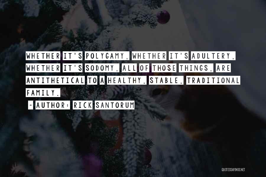 Rick Santorum Quotes: Whether It's Polygamy, Whether It's Adultery, Whether It's Sodomy, All Of Those Things, Are Antithetical To A Healthy, Stable, Traditional