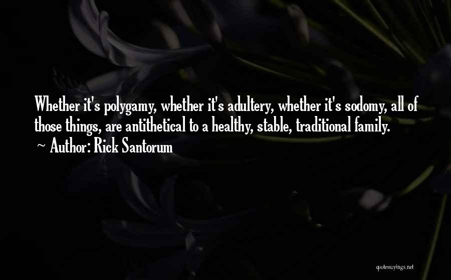 Rick Santorum Quotes: Whether It's Polygamy, Whether It's Adultery, Whether It's Sodomy, All Of Those Things, Are Antithetical To A Healthy, Stable, Traditional