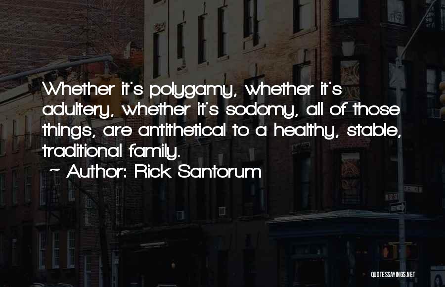 Rick Santorum Quotes: Whether It's Polygamy, Whether It's Adultery, Whether It's Sodomy, All Of Those Things, Are Antithetical To A Healthy, Stable, Traditional