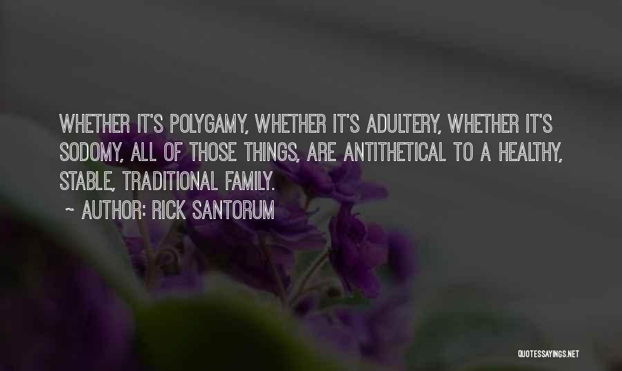 Rick Santorum Quotes: Whether It's Polygamy, Whether It's Adultery, Whether It's Sodomy, All Of Those Things, Are Antithetical To A Healthy, Stable, Traditional