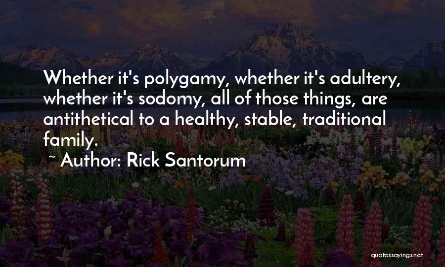 Rick Santorum Quotes: Whether It's Polygamy, Whether It's Adultery, Whether It's Sodomy, All Of Those Things, Are Antithetical To A Healthy, Stable, Traditional