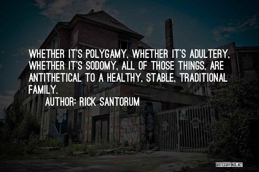 Rick Santorum Quotes: Whether It's Polygamy, Whether It's Adultery, Whether It's Sodomy, All Of Those Things, Are Antithetical To A Healthy, Stable, Traditional