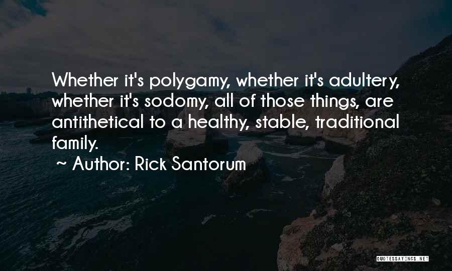 Rick Santorum Quotes: Whether It's Polygamy, Whether It's Adultery, Whether It's Sodomy, All Of Those Things, Are Antithetical To A Healthy, Stable, Traditional