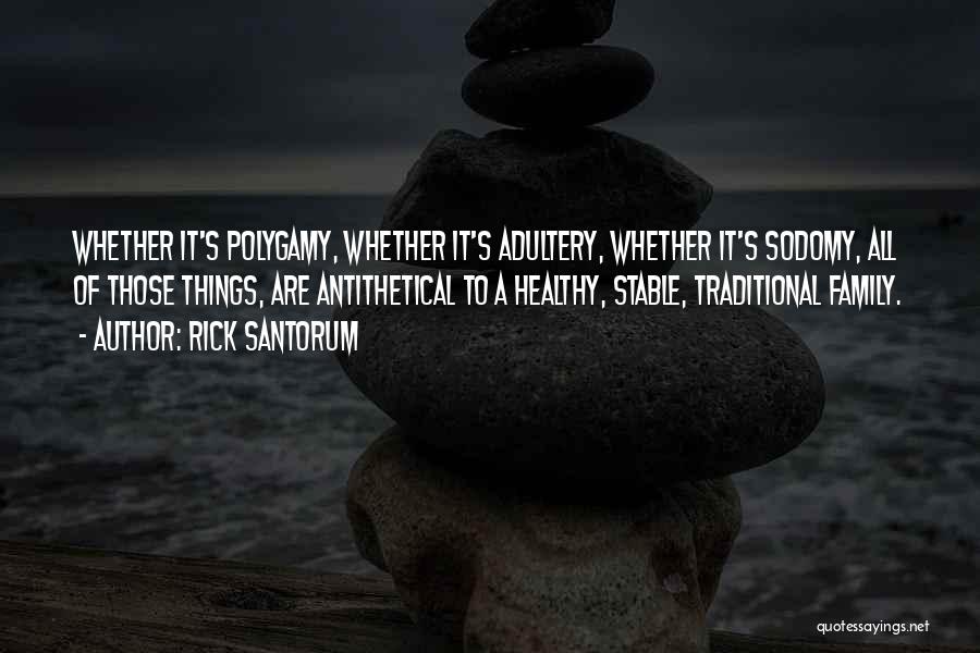 Rick Santorum Quotes: Whether It's Polygamy, Whether It's Adultery, Whether It's Sodomy, All Of Those Things, Are Antithetical To A Healthy, Stable, Traditional