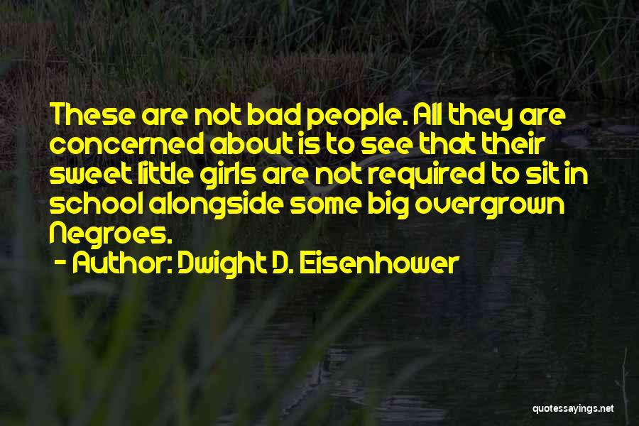 Dwight D. Eisenhower Quotes: These Are Not Bad People. All They Are Concerned About Is To See That Their Sweet Little Girls Are Not
