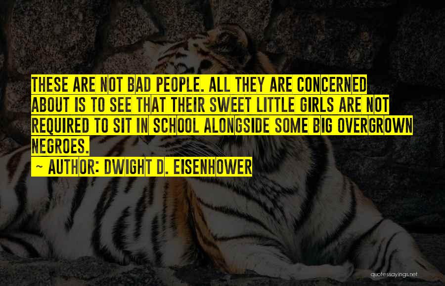 Dwight D. Eisenhower Quotes: These Are Not Bad People. All They Are Concerned About Is To See That Their Sweet Little Girls Are Not