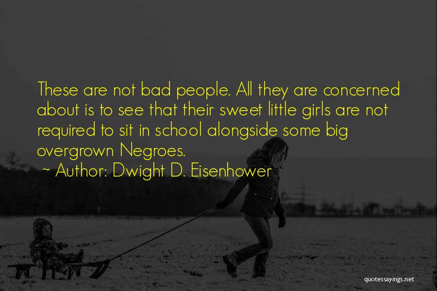 Dwight D. Eisenhower Quotes: These Are Not Bad People. All They Are Concerned About Is To See That Their Sweet Little Girls Are Not