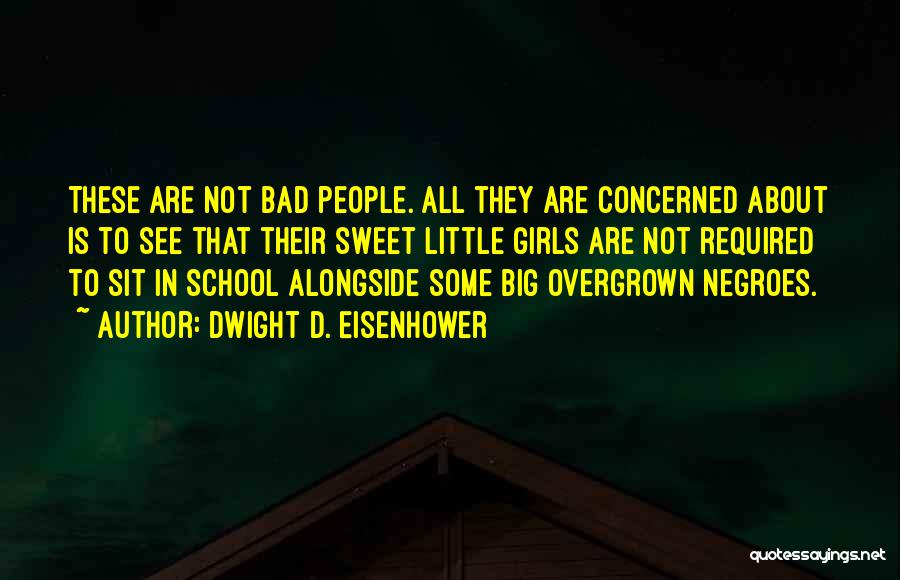 Dwight D. Eisenhower Quotes: These Are Not Bad People. All They Are Concerned About Is To See That Their Sweet Little Girls Are Not