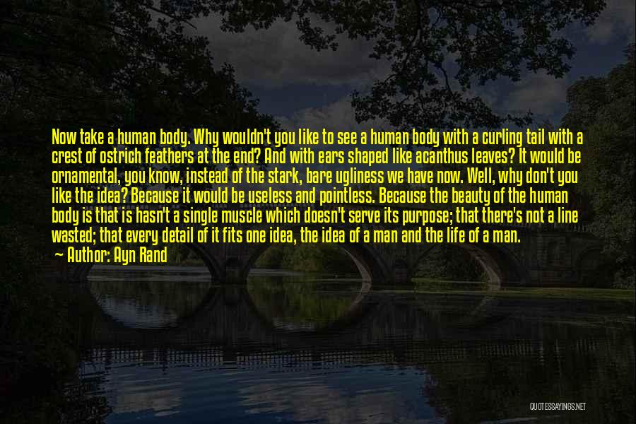 Ayn Rand Quotes: Now Take A Human Body. Why Wouldn't You Like To See A Human Body With A Curling Tail With A