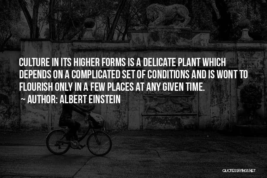 Albert Einstein Quotes: Culture In Its Higher Forms Is A Delicate Plant Which Depends On A Complicated Set Of Conditions And Is Wont