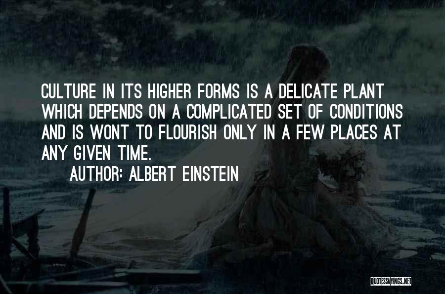 Albert Einstein Quotes: Culture In Its Higher Forms Is A Delicate Plant Which Depends On A Complicated Set Of Conditions And Is Wont
