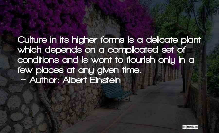 Albert Einstein Quotes: Culture In Its Higher Forms Is A Delicate Plant Which Depends On A Complicated Set Of Conditions And Is Wont