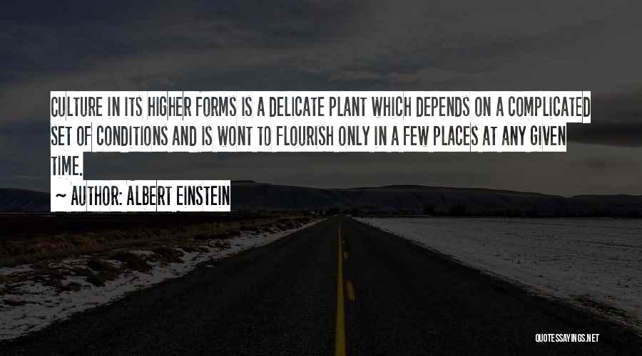 Albert Einstein Quotes: Culture In Its Higher Forms Is A Delicate Plant Which Depends On A Complicated Set Of Conditions And Is Wont