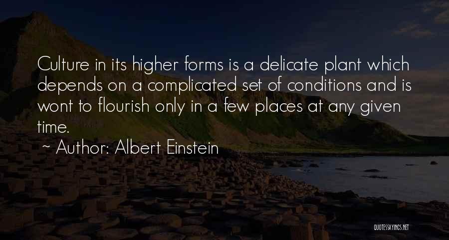 Albert Einstein Quotes: Culture In Its Higher Forms Is A Delicate Plant Which Depends On A Complicated Set Of Conditions And Is Wont