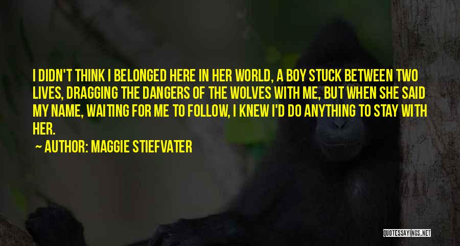 Maggie Stiefvater Quotes: I Didn't Think I Belonged Here In Her World, A Boy Stuck Between Two Lives, Dragging The Dangers Of The