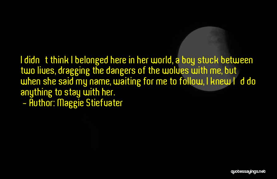 Maggie Stiefvater Quotes: I Didn't Think I Belonged Here In Her World, A Boy Stuck Between Two Lives, Dragging The Dangers Of The