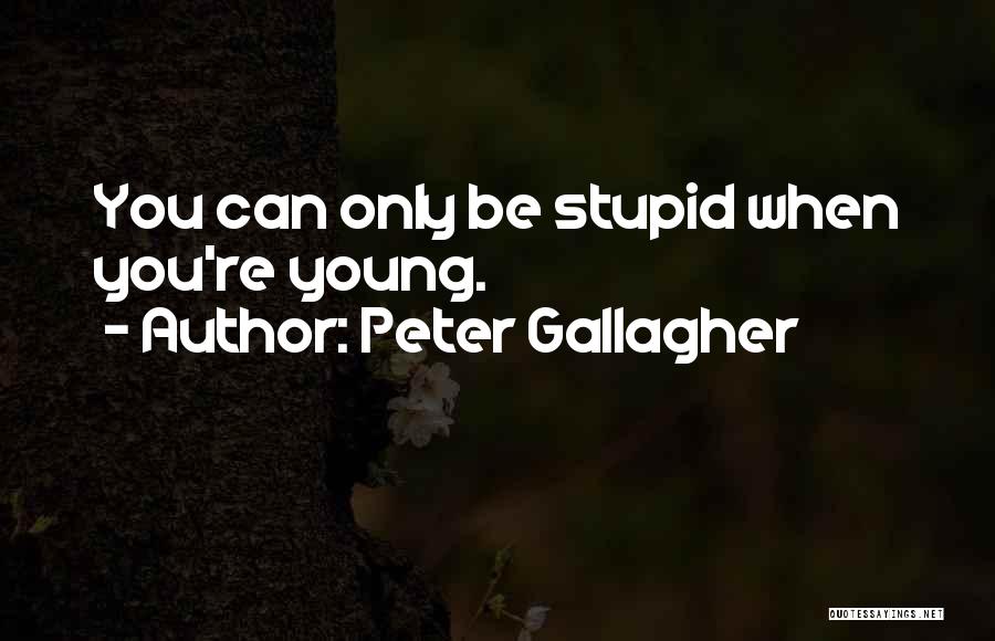 Peter Gallagher Quotes: You Can Only Be Stupid When You're Young.