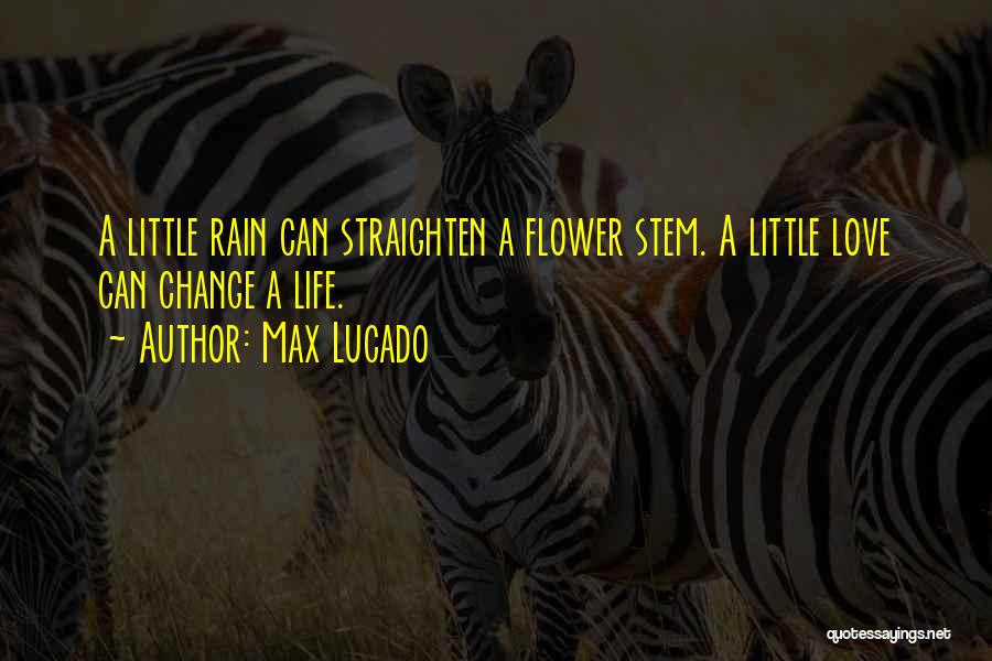Max Lucado Quotes: A Little Rain Can Straighten A Flower Stem. A Little Love Can Change A Life.