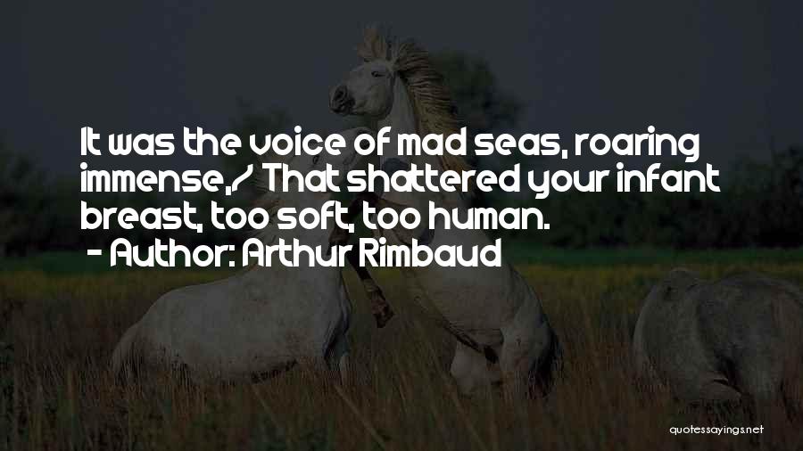 Arthur Rimbaud Quotes: It Was The Voice Of Mad Seas, Roaring Immense,/ That Shattered Your Infant Breast, Too Soft, Too Human.