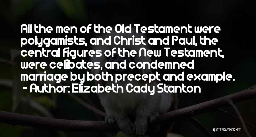 Elizabeth Cady Stanton Quotes: All The Men Of The Old Testament Were Polygamists, And Christ And Paul, The Central Figures Of The New Testament,