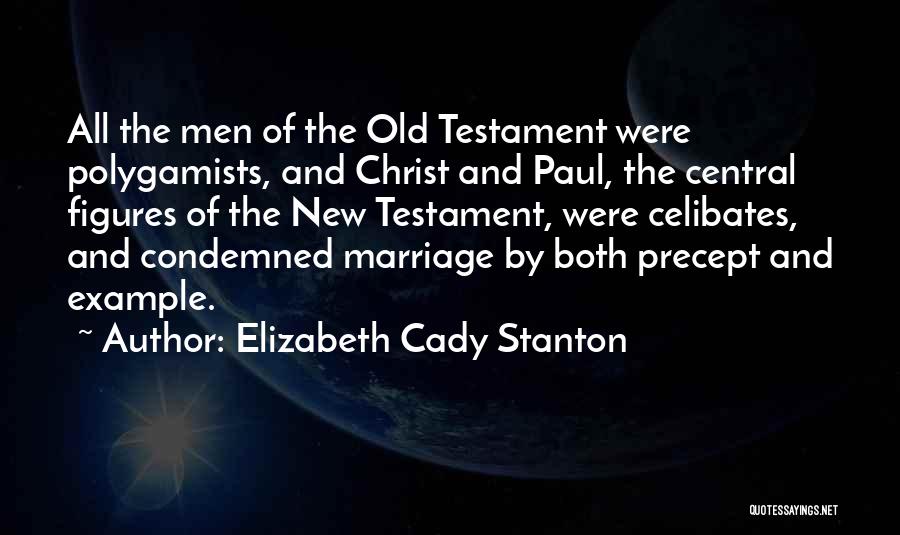 Elizabeth Cady Stanton Quotes: All The Men Of The Old Testament Were Polygamists, And Christ And Paul, The Central Figures Of The New Testament,