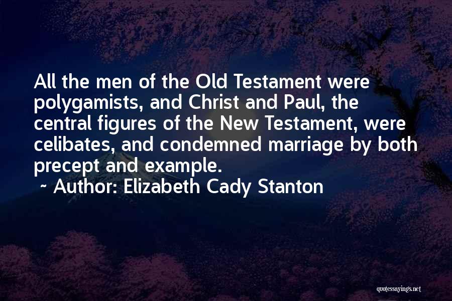 Elizabeth Cady Stanton Quotes: All The Men Of The Old Testament Were Polygamists, And Christ And Paul, The Central Figures Of The New Testament,