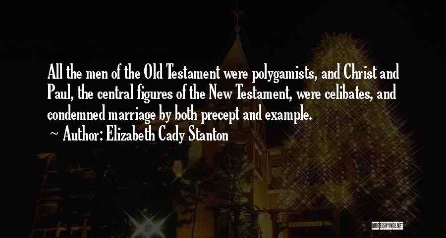 Elizabeth Cady Stanton Quotes: All The Men Of The Old Testament Were Polygamists, And Christ And Paul, The Central Figures Of The New Testament,