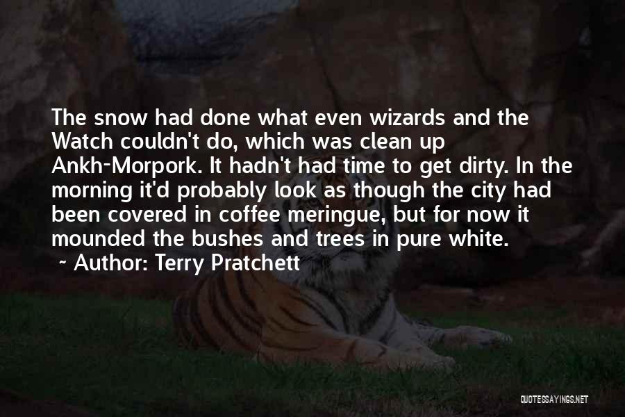 Terry Pratchett Quotes: The Snow Had Done What Even Wizards And The Watch Couldn't Do, Which Was Clean Up Ankh-morpork. It Hadn't Had