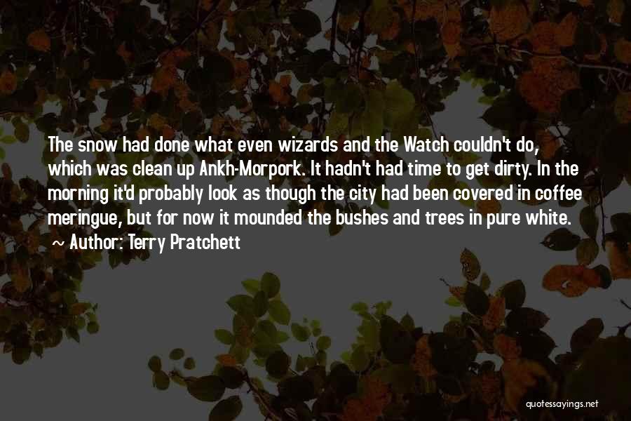 Terry Pratchett Quotes: The Snow Had Done What Even Wizards And The Watch Couldn't Do, Which Was Clean Up Ankh-morpork. It Hadn't Had