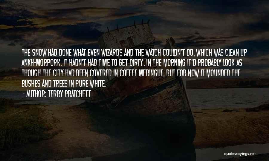 Terry Pratchett Quotes: The Snow Had Done What Even Wizards And The Watch Couldn't Do, Which Was Clean Up Ankh-morpork. It Hadn't Had