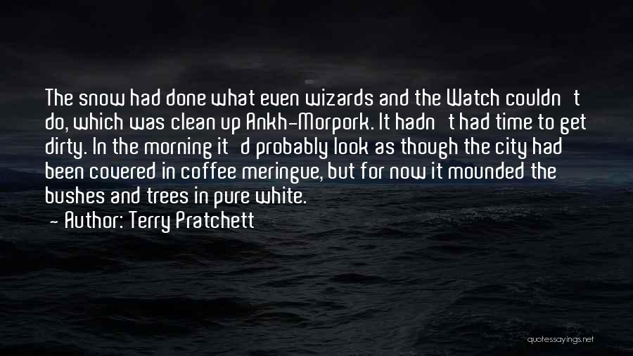 Terry Pratchett Quotes: The Snow Had Done What Even Wizards And The Watch Couldn't Do, Which Was Clean Up Ankh-morpork. It Hadn't Had