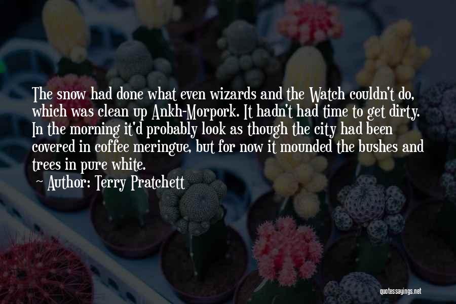 Terry Pratchett Quotes: The Snow Had Done What Even Wizards And The Watch Couldn't Do, Which Was Clean Up Ankh-morpork. It Hadn't Had