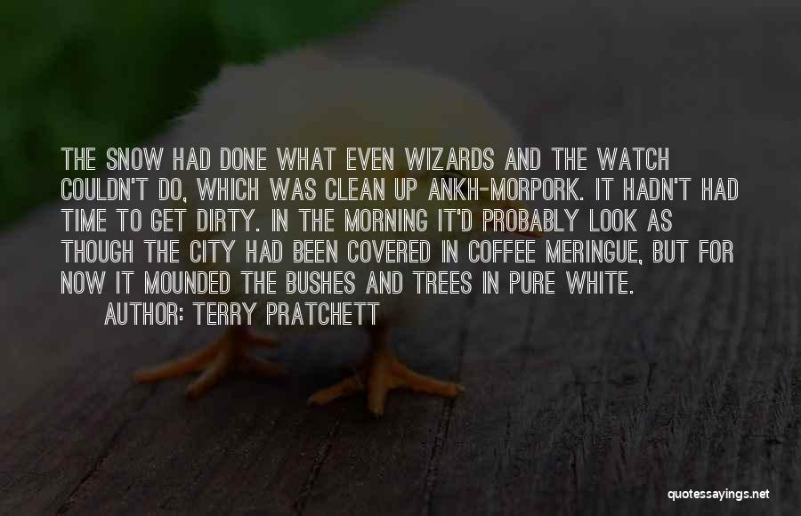 Terry Pratchett Quotes: The Snow Had Done What Even Wizards And The Watch Couldn't Do, Which Was Clean Up Ankh-morpork. It Hadn't Had