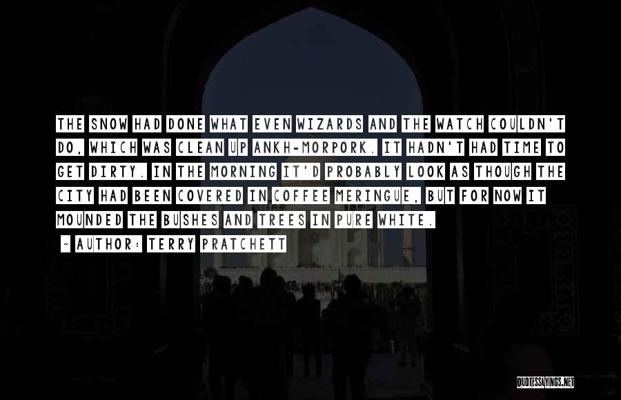 Terry Pratchett Quotes: The Snow Had Done What Even Wizards And The Watch Couldn't Do, Which Was Clean Up Ankh-morpork. It Hadn't Had