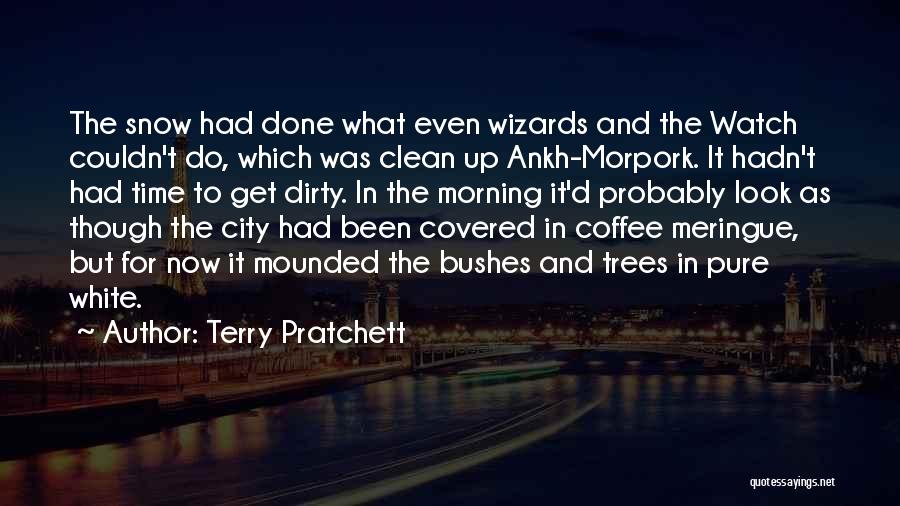 Terry Pratchett Quotes: The Snow Had Done What Even Wizards And The Watch Couldn't Do, Which Was Clean Up Ankh-morpork. It Hadn't Had