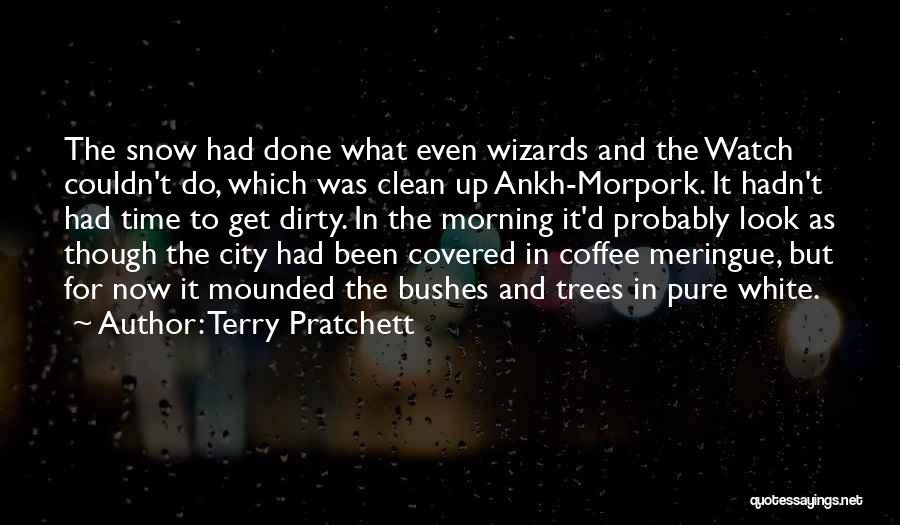 Terry Pratchett Quotes: The Snow Had Done What Even Wizards And The Watch Couldn't Do, Which Was Clean Up Ankh-morpork. It Hadn't Had