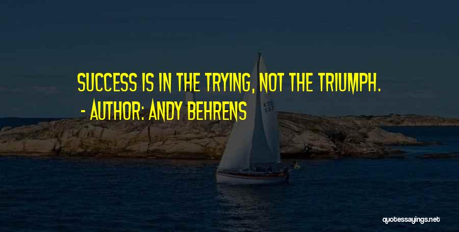 Andy Behrens Quotes: Success Is In The Trying, Not The Triumph.