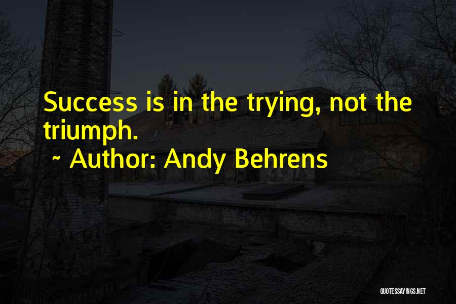 Andy Behrens Quotes: Success Is In The Trying, Not The Triumph.