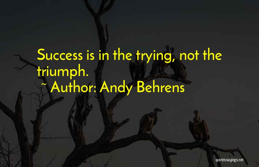Andy Behrens Quotes: Success Is In The Trying, Not The Triumph.