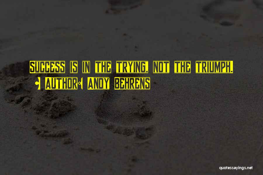 Andy Behrens Quotes: Success Is In The Trying, Not The Triumph.
