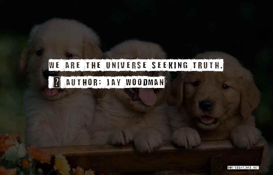 Jay Woodman Quotes: We Are The Universe Seeking Truth.