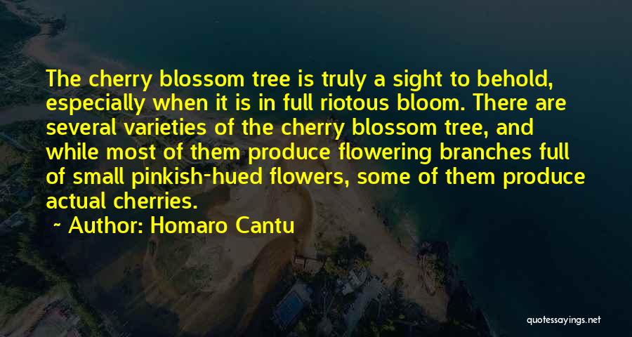 Homaro Cantu Quotes: The Cherry Blossom Tree Is Truly A Sight To Behold, Especially When It Is In Full Riotous Bloom. There Are