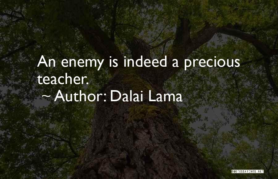 Dalai Lama Quotes: An Enemy Is Indeed A Precious Teacher.