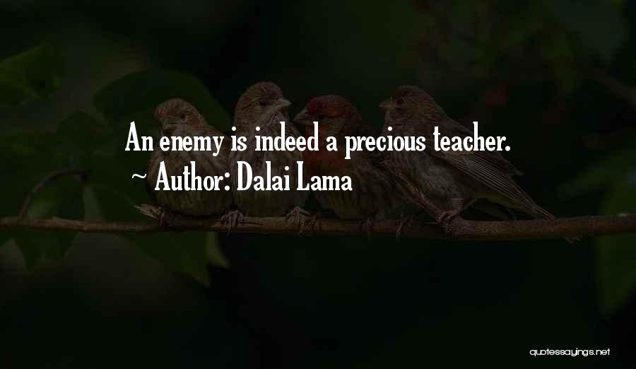 Dalai Lama Quotes: An Enemy Is Indeed A Precious Teacher.