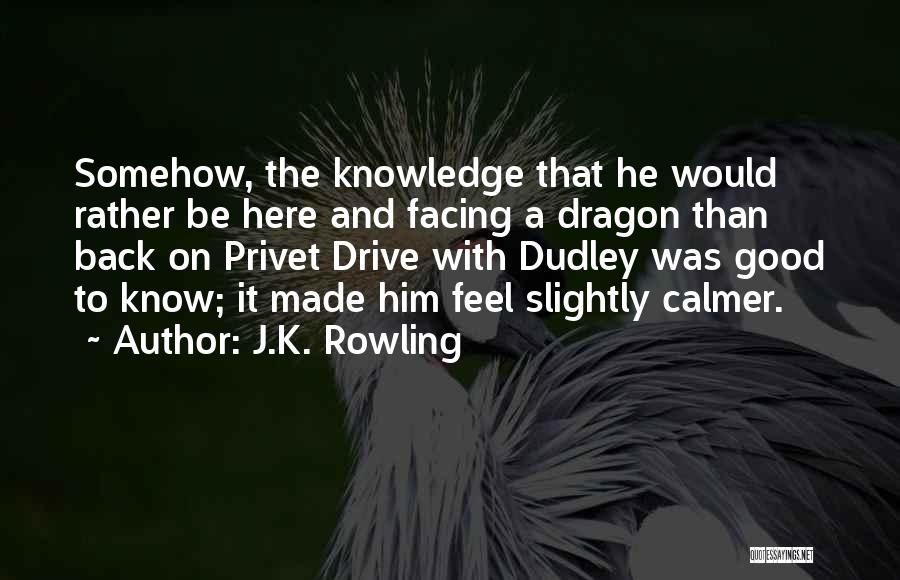 J.K. Rowling Quotes: Somehow, The Knowledge That He Would Rather Be Here And Facing A Dragon Than Back On Privet Drive With Dudley