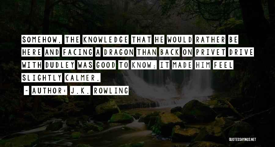 J.K. Rowling Quotes: Somehow, The Knowledge That He Would Rather Be Here And Facing A Dragon Than Back On Privet Drive With Dudley