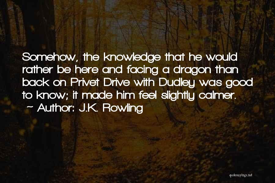 J.K. Rowling Quotes: Somehow, The Knowledge That He Would Rather Be Here And Facing A Dragon Than Back On Privet Drive With Dudley