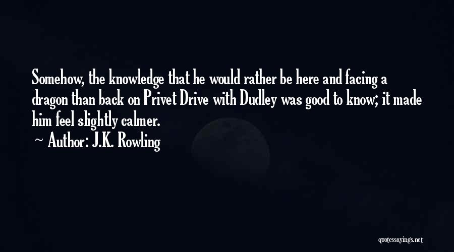 J.K. Rowling Quotes: Somehow, The Knowledge That He Would Rather Be Here And Facing A Dragon Than Back On Privet Drive With Dudley