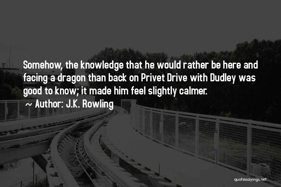 J.K. Rowling Quotes: Somehow, The Knowledge That He Would Rather Be Here And Facing A Dragon Than Back On Privet Drive With Dudley